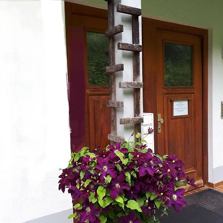 Ferienapartment 38 Sonnenwald Oberlangfurth エクステリア 写真