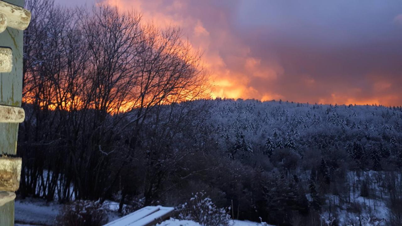 Ferienapartment 38 Sonnenwald Oberlangfurth エクステリア 写真