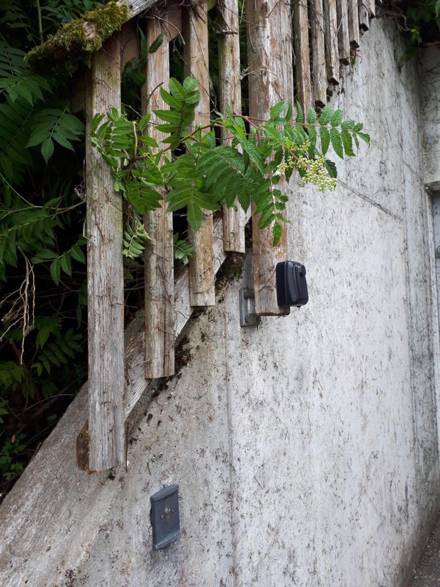 Ferienapartment 38 Sonnenwald Oberlangfurth エクステリア 写真