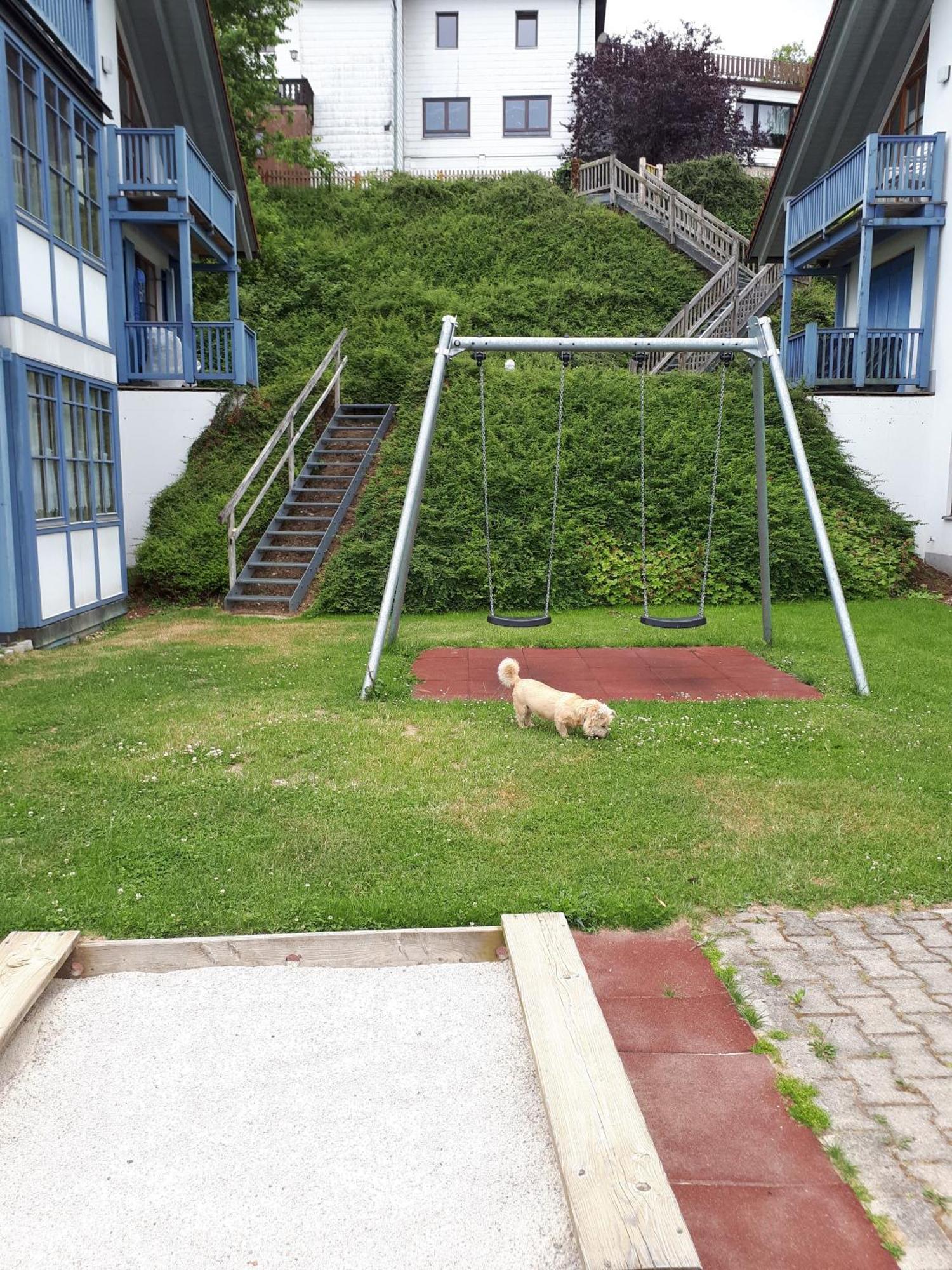 Ferienapartment 38 Sonnenwald Oberlangfurth エクステリア 写真