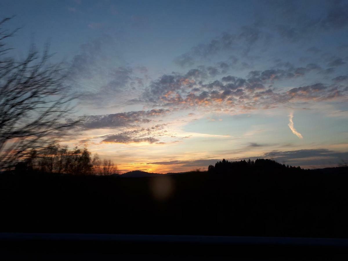 Ferienapartment 38 Sonnenwald Oberlangfurth エクステリア 写真