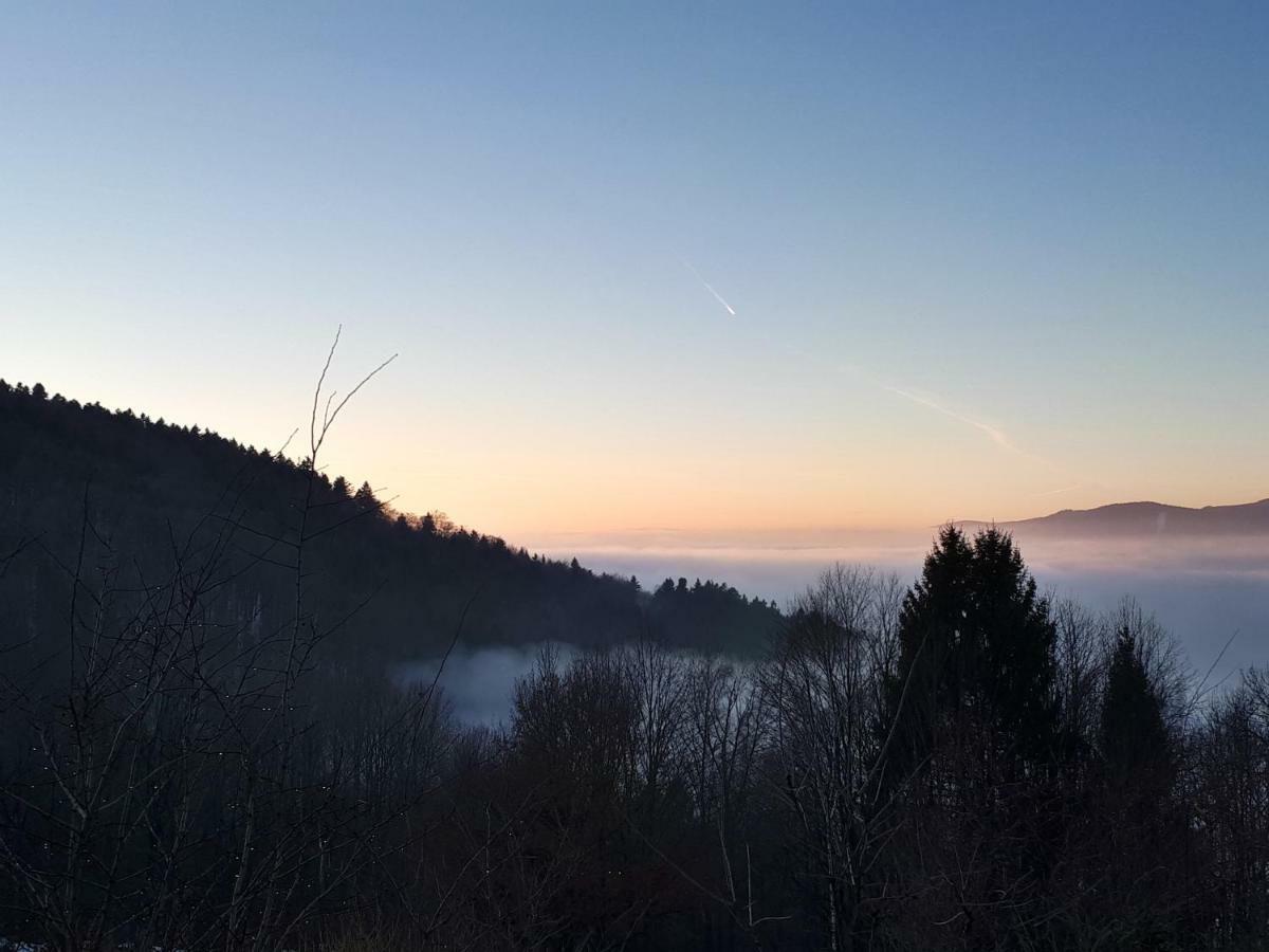 Ferienapartment 38 Sonnenwald Oberlangfurth エクステリア 写真