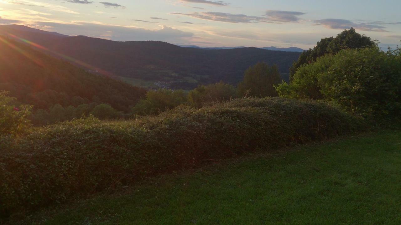 Ferienapartment 38 Sonnenwald Oberlangfurth エクステリア 写真