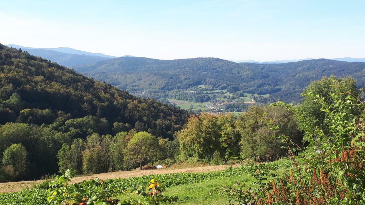 Ferienapartment 38 Sonnenwald Oberlangfurth エクステリア 写真